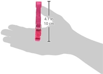 Zack & Zoey ⅜" Wide Nylon Dog Collar, Fits Necks 6" to 10", Raspberry Sorbet