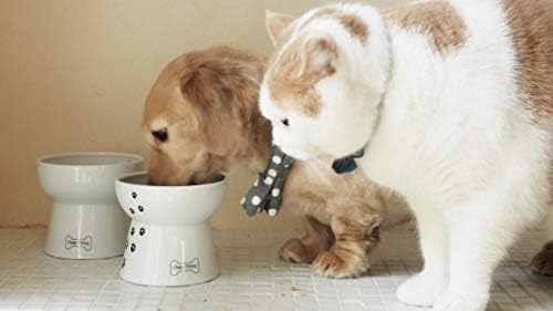 Necoichi Raised Dog Food Bowl, Elevated, for dogs and cats, pets feeding feeder Non-slip for small dogs Dishwasher and Microwave Safe, No.1 Seller in Japan! (Dog, Food Bowl)