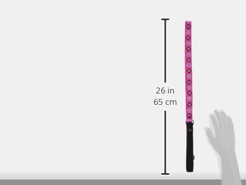 LupinePet Originals 1" Puppy Love 4-Foot Padded Handle Leash for Medium and Larger Dogs