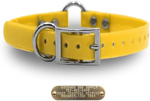 Heavy Duty D & Center Ring Dog Collar w Custom Name Tag, School Bus Yellow