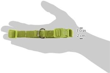 Zack & Zoey ⅝" Wide Nylon Dog Collar, Fits Necks 10" to 16", Parrot Green