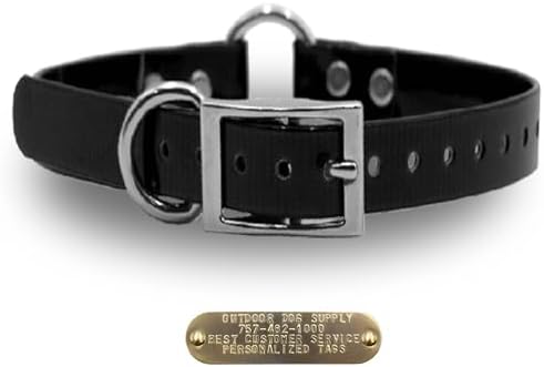 Heavy Duty Waterproof D & Center Ring Dog Collar w Custom Name Tag, Black