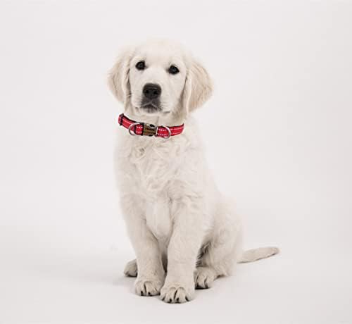 THAIN Reflective Personalized Dog Collar Engraved Custom Buckle- Soft Nylon Pet Collar with Name Plate Engraved Name, Phone Number, Silent,No Noise Adjustable (M, Red)