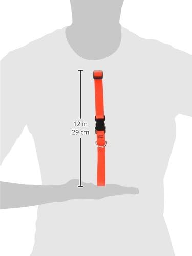 LupinePet Basics 3/4" Blaze Orange 15-25" Adjustable Collar for Large Dogs