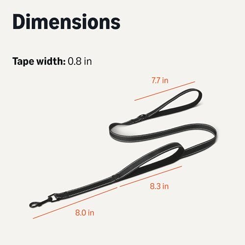 Amazon Basics Dog Leash, 4ft with 2 Comfortable Dual Padded Handles for Traffic Control, Highly Reflective Leashes for Large & Medium Dogs, Night Safety, Easy Snap Hook, Black