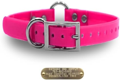 Heavy Duty Waterproof D & Center Ring Dog Collar w Custom Name Tag, Pink