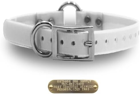Heavy Duty Waterproof D & Center Ring Dog Collar w Custom Name Tag, White