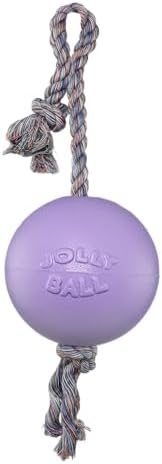 Jolly Pets Romp-N-Roll Rope & Ball Dog Toy, 6 in Medium, Light Purple