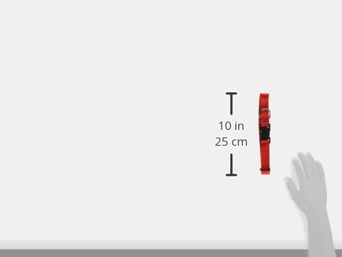 LupinePet Basics 1" Red 12-20" Adjustable Collar for Medium and Larger Dogs