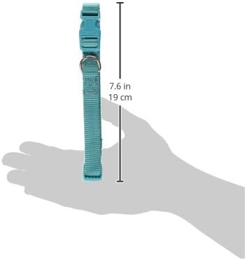 Zack & Zoey ⅝" Wide Nylon Dog Collar, Fits Necks 14" to 20", Bluebird
