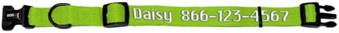 Dogline Lime Green Customizable Personalized Nylon Collar (W: 3/8" L: 9"-13")
