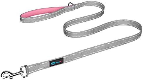 PHOEPET 5 Feet Dog Leash - Dual-Side Reflective - Soft Padded Handle