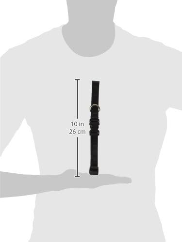 LupinePet Basics 3/4" Black 13-22" Adjustable Collar for Medium and Larger Dogs