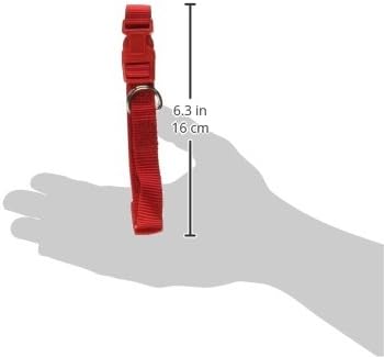 Zack & Zoey ⅝" Wide Nylon Dog Collar, Fits Necks 10" to 16", Tomato Red