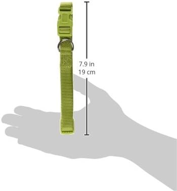 Zack & Zoey ⅝" Wide Nylon Dog Collar, Fits Necks 14" to 20", Parrot Green