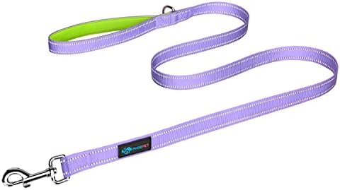 PHOEPET 5 Feet Dog Leash - Dual-Side Reflective - Soft Padded Handle