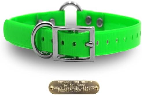Heavy Duty D & Center Ring Dog Collar w Custom Name Tag, Lime Green 18"