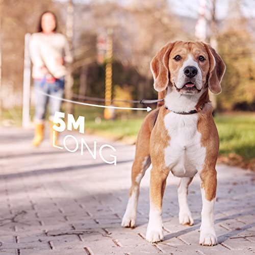 FurDreams Dog Lead - Retractable, Anti-Tangle Nylon Tape Leash Lock Button, Comfortable Handle, Multiple Sizes & Colours - 5m Extendable for Dogs Under Your Control! Heavy Duty Small Up to 15kg Red