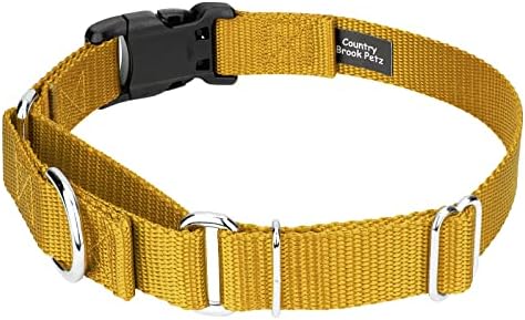 Martingale Dog Collar - Heavy Duty Nylon Adjustable Martingale Dog Collar with Plastic Buckle for Small Medium Large Breeds - 30+ Colors (1 Inch, Extra Large, Gold)