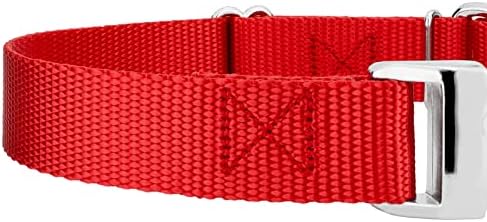 Country Brook Petz - Martingale Dog Collar - Heavy Duty Nylon Adjustable Martingale Dog Collar with Metal Buckle for Small Medium Large Breeds - 30+ Color Options (1 Inch, Medium, Bright Red)