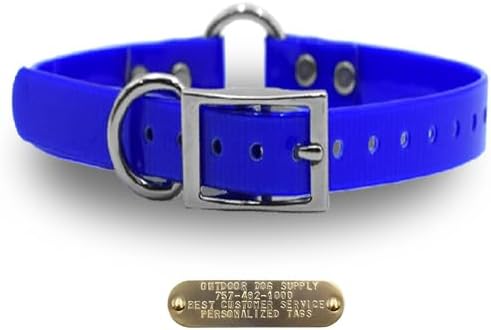 Heavy Duty D & Center Ring Dog Collar w Custom Name Tag, Dark Blue 21"
