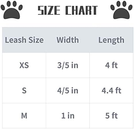 Lionet Paws Dog Leash for Small Dogs, Orange, Blue, 4.4ft (135cm), Snap Closure