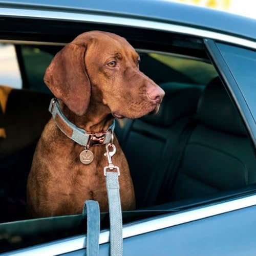 – Luxury 3-Piece Dog Walking Set – Adjustable Collar, 150 cm Leash, Poo Bag Holder – English Tweed & Soft Velvet – Elegant, Comfortable & Practical – 3 Colors