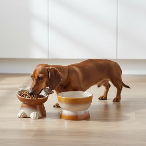 Nihow Dog Food & Water Bowls: Elevated Ceramic Bowls for Medium/Small Dog