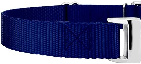 Country Brook Petz - Martingale Dog Collar - Heavy Duty Nylon Adjustable Martingale Dog Collar with Metal Buckle for Small Medium Large Breeds 30+ Color Options (3/4 Inch, Small, Royal Blue)