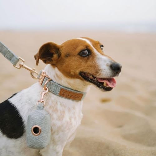 – Luxury 3-Piece Dog Walking Set – Adjustable Collar, 150 cm Leash, Poo Bag Holder – English Tweed & Soft Velvet – Elegant, Comfortable & Practical – 3 Colors