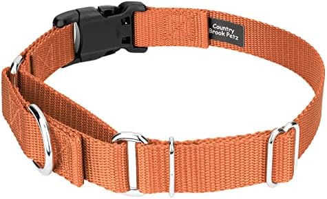 Martingale Dog Collar - Heavy Duty Nylon Adjustable Martingale Dog Collar with Plastic Buckle for Small Medium Large Breeds - 30+ Colors (1 Inch, Extra Large, Coral)