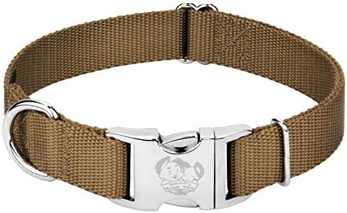 Country Brook Petz - Premium Nylon Dog Collar with Metal Buckle for Small Medium Large Breeds - 30+ Colors (Small, 3/4 Inch, Coyote Tan)