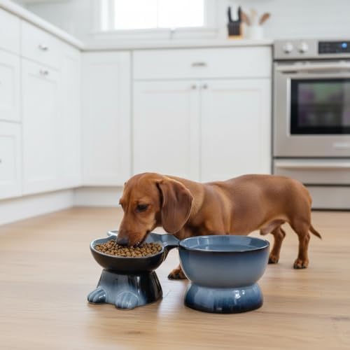 Nihow Dog Food & Water Bowls: Elevated Ceramic Bowls for Medium/Small Dog