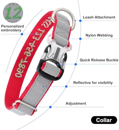 Personalized Dog Collar, Custom Embroidered Name & Phone Number