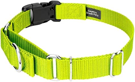 Martingale Dog Collar - Heavy Duty Nylon Adjustable Martingale Dog Collar with Plastic Buckle for Small Medium Large Breeds - 30+ Colors (1 Inch, Medium, Hot Yellow)