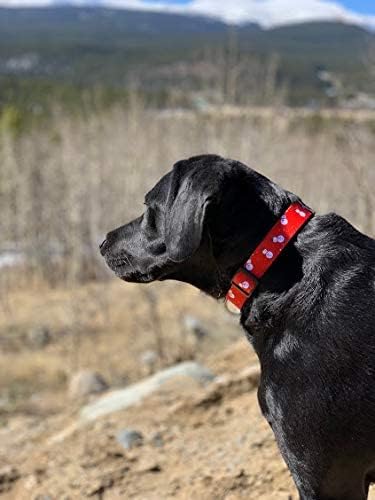 Native Pup Christmas Dog Collar- Winter Holiday Collars for Pets- Xmas Gift for Puppy- Santa, Reindeer, Snowman, Candy Cane, Red Green- Girl Boy- Small, Medium, Large Breeds (Snowman, Small)