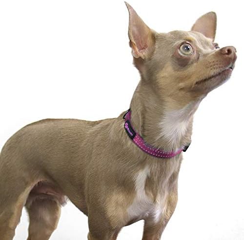 Max and Neo™ NEO Nylon Buckle Reflective Dog Collar - We Donate a Collar to a Dog Rescue for Every Collar Sold (X-Small, Pink)