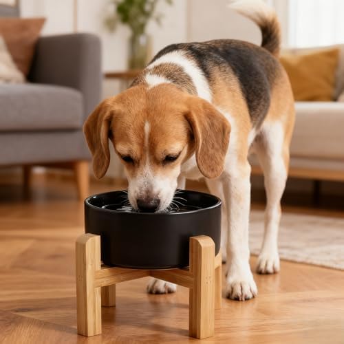 Elevated/Raised Ceramic Dog Bowl with Bamboo Stand,6 Inch 3.6 Cups Non Slip Heavy Weighted Single Pet Dish, for Small Medium Breed & Cats,Reduces Neck Strain Black