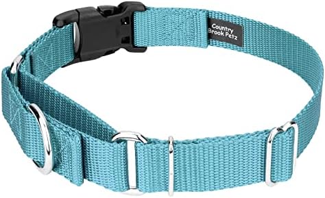 Martingale Dog Collar - Heavy Duty Nylon Adjustable Martingale Dog Collar with Plastic Buckle for Small Medium Large Breeds - 30+ Colors (1 Inch, Large, Ocean Blue)