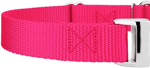 Country Brook Petz - Martingale Dog Collar - Heavy Duty Nylon Adjustable Martingale Dog Collar with Metal Buckle for Small Medium Large Breeds 30+ Color Options (3/4 Inch, Small, Hot Pink)