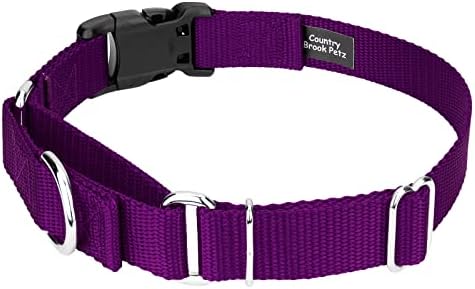 Martingale Dog Collar - Heavy Duty Nylon Adjustable Martingale Dog Collar with Plastic Buckle for Small Medium Large Breeds - 30+ Colors (1 Inch, Large, Purple)