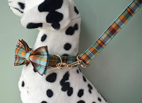 Custom Dog Collar with Names and Phone Number Engraved, Puppy Tags Personalized for Small Medium Large Pets