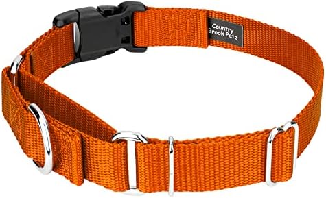 Martingale Dog Collar - Heavy Duty Nylon Adjustable Martingale Dog Collar with Plastic Buckle for Small Medium Large Breeds - 30+ Colors (5/8 Inch, Extra Small, Orange)