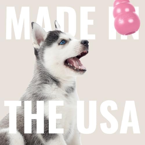 KONG Puppy, Natural Rubber Teething Chew Toy, for Medium Puppies, Pink