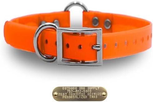 Heavy Duty D & Center Ring Dog Collar w Custom Name Tag, Orange 18"