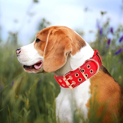 Heavy Duty Dog Collar for Medium Large Dogs,Red,Large