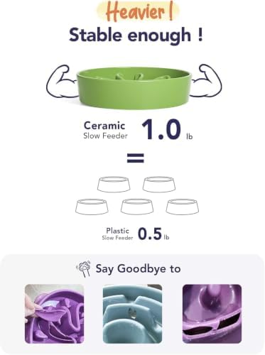 LE TAUCI Ceramic Slow Feeder Dog Bowls Small Breed, 0.6 Cups Dog Food Dish for Fast Eaters, Puzzle Bowl for Small Dogs and Cats,Pink+Green