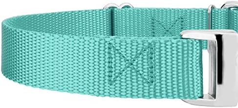 Country Brook Petz - Martingale Dog Collar - Heavy Duty Nylon Adjustable Martingale Dog Collar with Metal Buckle for Small Medium Large Breeds - 30+ Color Options (3/4 Inch, Small, Light Cyan)