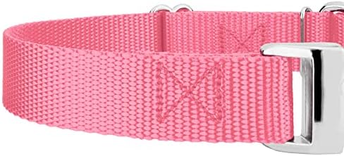Country Brook Petz - Martingale Dog Collar - Heavy Duty Nylon Adjustable Martingale Dog Collar with Metal Buckle for Small Medium Large Breeds 30+ Color Options (1 Inch, Large, Pink)