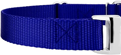 Country Brook Petz - Martingale Dog Collar Heavy Duty Nylon Adjustable Martingale Dog Collar with Metal Buckle for Small Medium Large Breeds 30+ Color Options (1 Inch, Extra Large, Bright Royal Blue)